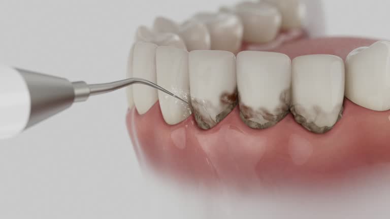 Reliable Dental contractor in Columbia City, IN by Dentist Open Now
